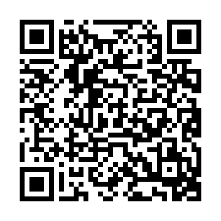 UPI QR Code